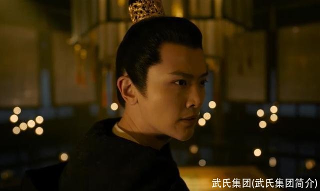 武氏集团(武氏集团简介)