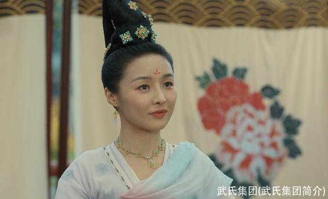 武氏集团(武氏集团简介)