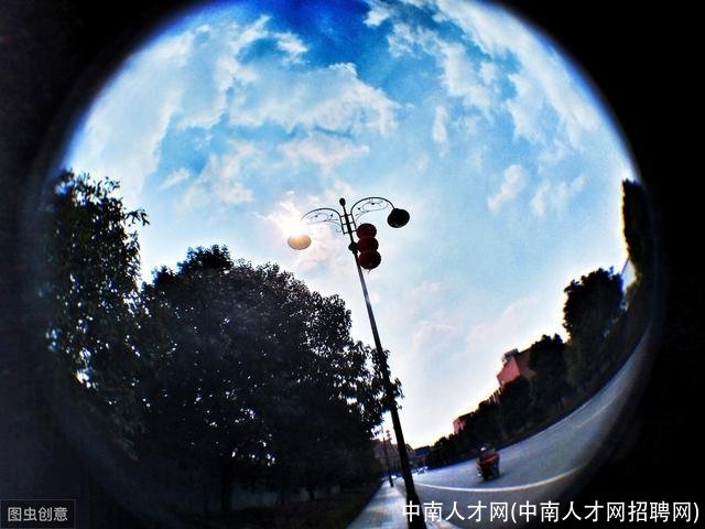 中南人才网(中南人才网招聘网)