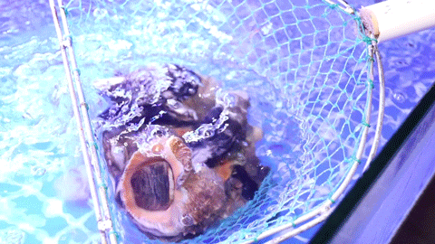 温州万达广场(温州万达广场在哪里)