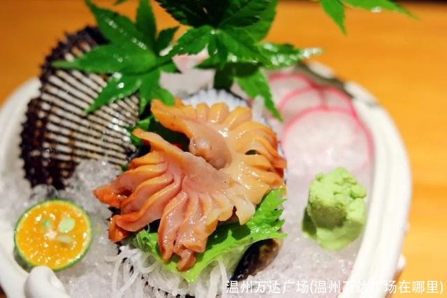 温州万达广场(温州万达广场在哪里)