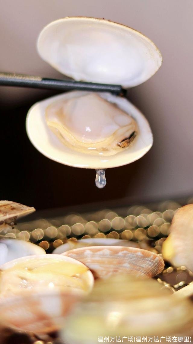 温州万达广场(温州万达广场在哪里)