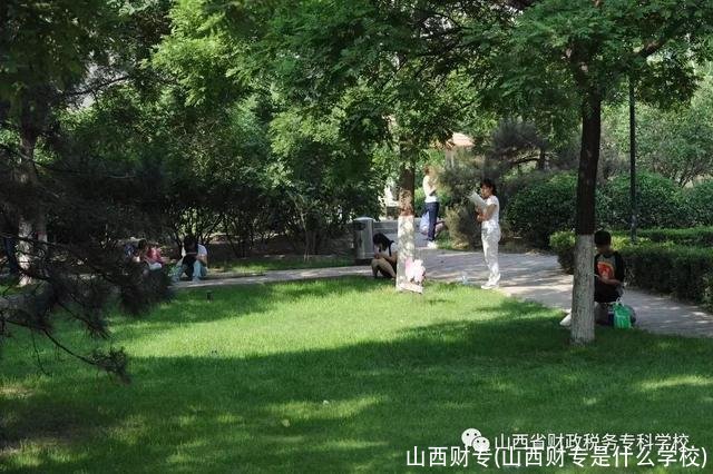 山西财专(山西财专是什么学校)