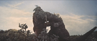 金刚二代(金刚二代图片)