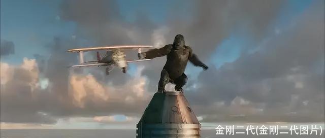 金刚二代(金刚二代图片)