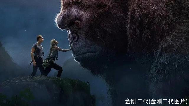 金刚二代(金刚二代图片)