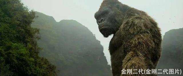 金刚二代(金刚二代图片)
