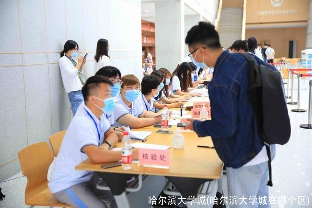 哈尔滨大学城(哈尔滨大学城在哪个区)