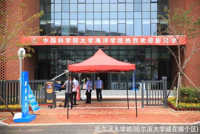 哈尔滨大学城(哈尔滨大学城在哪个区)