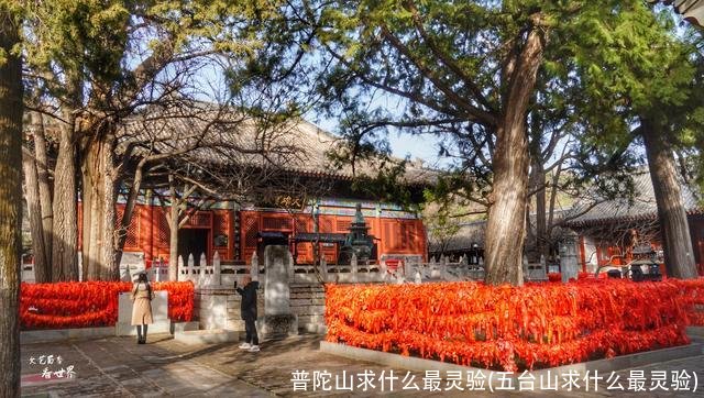 普陀山求什么最灵验(五台山求什么最灵验)