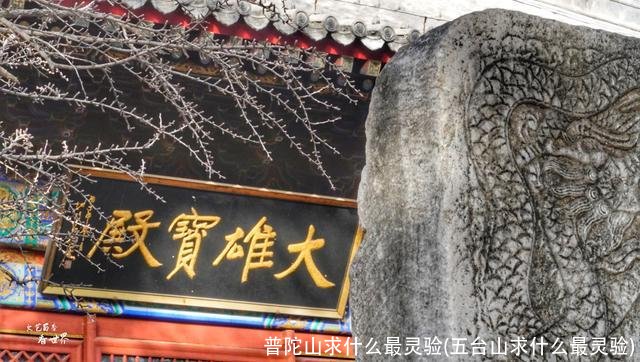 普陀山求什么最灵验(五台山求什么最灵验)