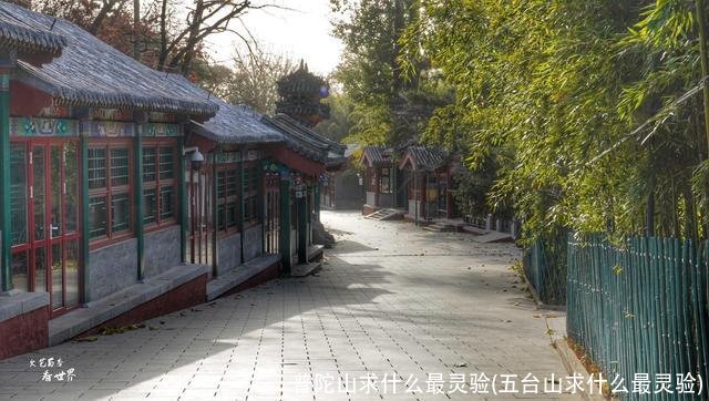 普陀山求什么最灵验(五台山求什么最灵验)