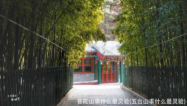 普陀山求什么最灵验(五台山求什么最灵验)