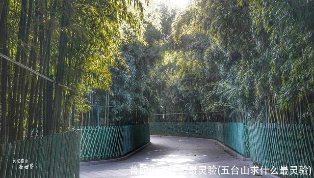 普陀山求什么最灵验(五台山求什么最灵验)