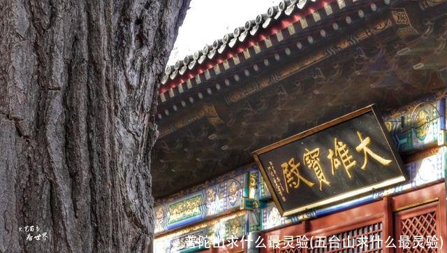 普陀山求什么最灵验(五台山求什么最灵验)