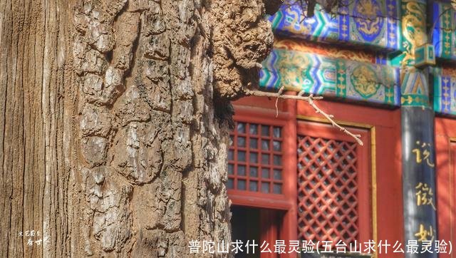 普陀山求什么最灵验(五台山求什么最灵验)