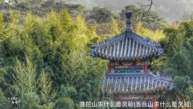 普陀山求什么最灵验(五台山求什么最灵验)