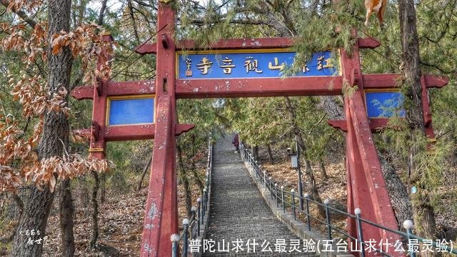 普陀山求什么最灵验(五台山求什么最灵验)