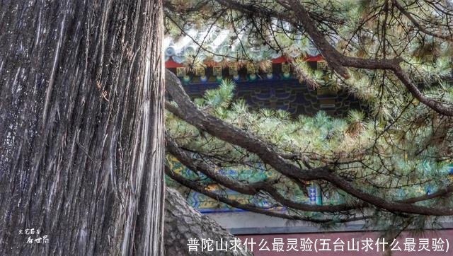 普陀山求什么最灵验(五台山求什么最灵验)