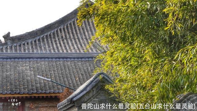 普陀山求什么最灵验(五台山求什么最灵验)