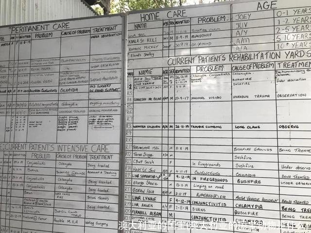 澳大利亚的国宝(澳大利亚的国宝动物是什么)