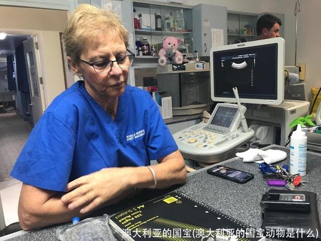 澳大利亚的国宝(澳大利亚的国宝动物是什么)