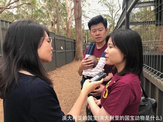 澳大利亚的国宝(澳大利亚的国宝动物是什么)