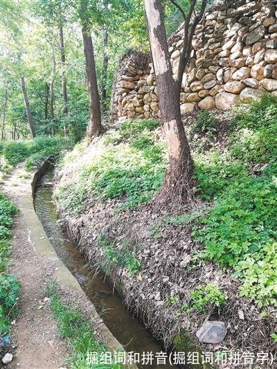 掘组词和拼音(掘组词和拼音字)