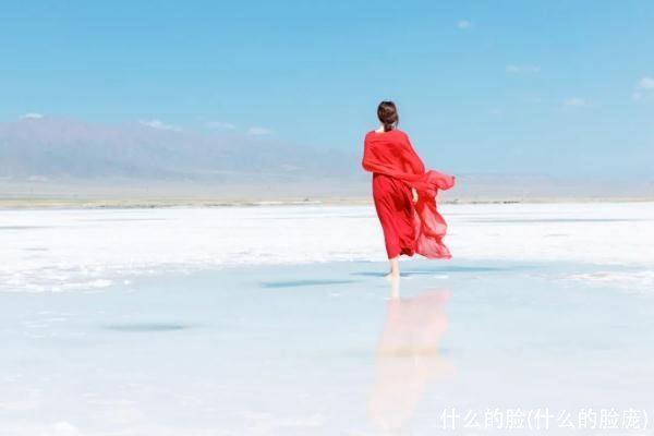 什么的脸(什么的脸庞)