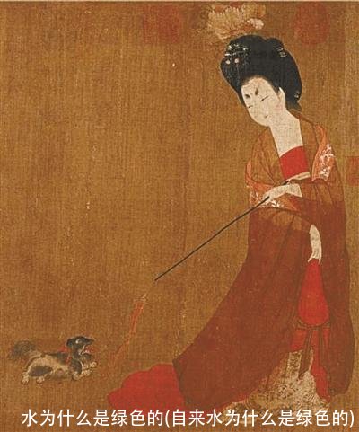 水为什么是绿色的(自来水为什么是绿色的)