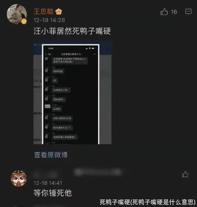 死鸭子嘴硬(死鸭子嘴硬是什么意思)