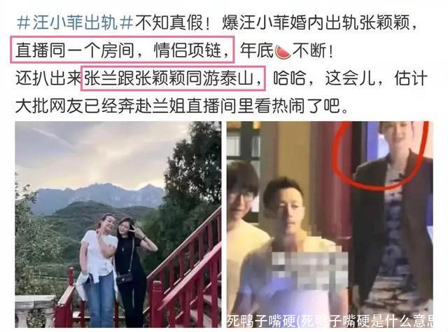 死鸭子嘴硬(死鸭子嘴硬是什么意思)