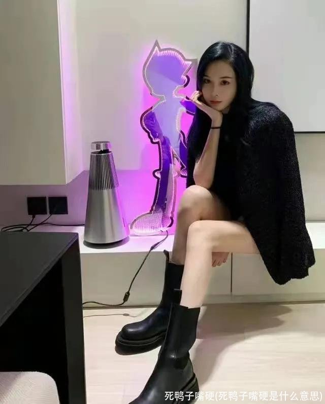 死鸭子嘴硬(死鸭子嘴硬是什么意思)