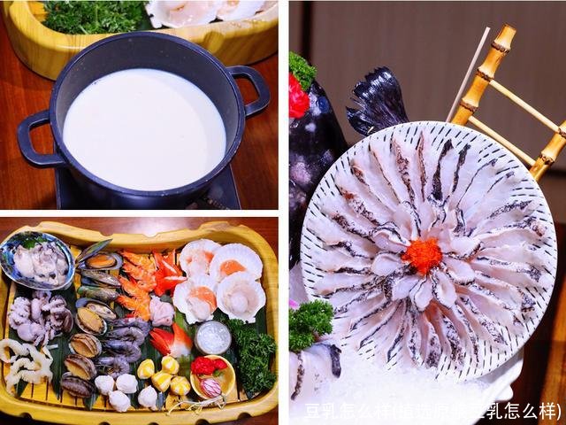 豆乳怎么样(植选原浆豆乳怎么样)