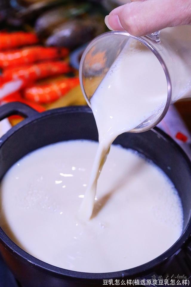 豆乳怎么样(植选原浆豆乳怎么样)