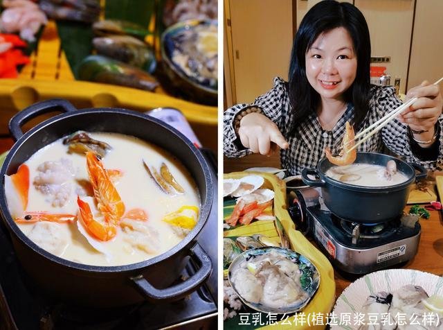豆乳怎么样(植选原浆豆乳怎么样)