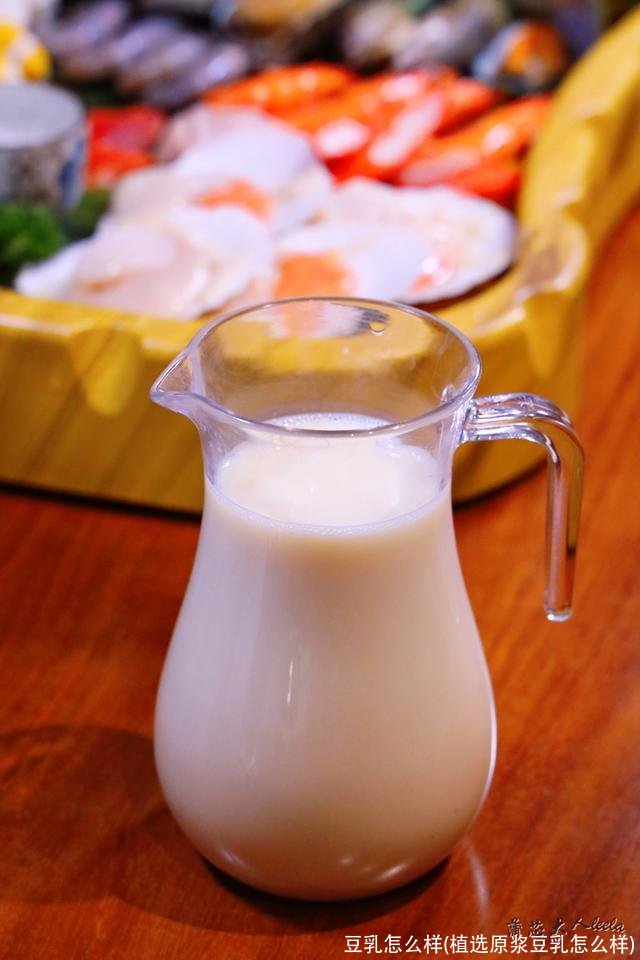 豆乳怎么样(植选原浆豆乳怎么样)