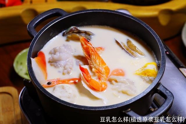 豆乳怎么样(植选原浆豆乳怎么样)