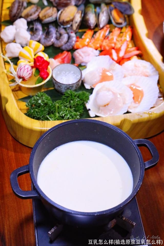 豆乳怎么样(植选原浆豆乳怎么样)