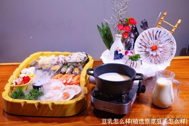 豆乳怎么样(植选原浆豆乳怎么样)