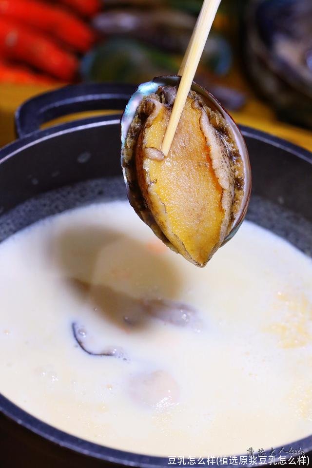 豆乳怎么样(植选原浆豆乳怎么样)