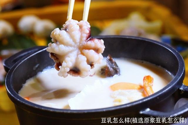 豆乳怎么样(植选原浆豆乳怎么样)