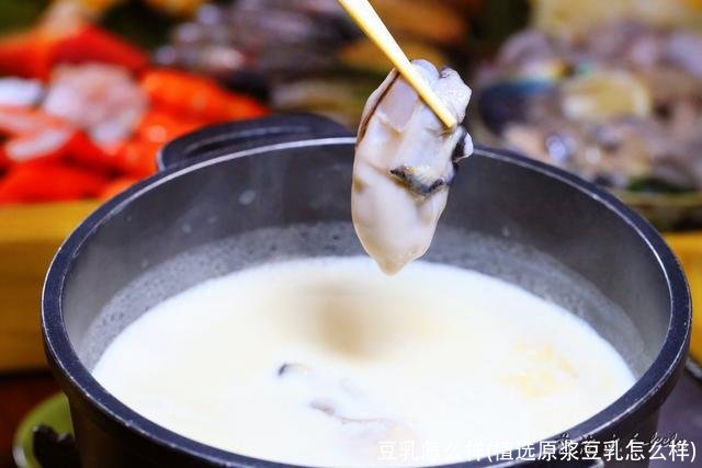 豆乳怎么样(植选原浆豆乳怎么样)