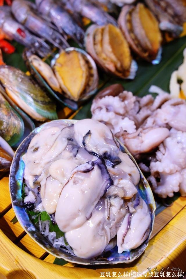 豆乳怎么样(植选原浆豆乳怎么样)