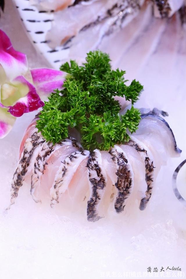 豆乳怎么样(植选原浆豆乳怎么样)