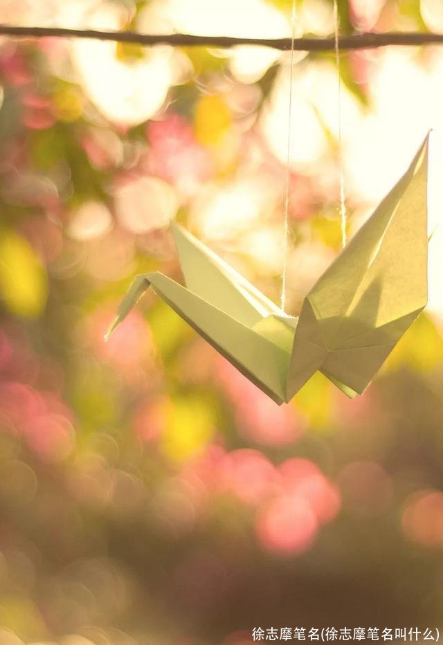 徐志摩笔名(徐志摩笔名叫什么)