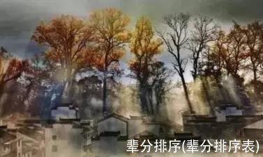 辈分排序(辈分排序表)