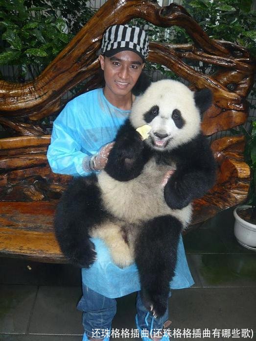 还珠格格插曲(还珠格格插曲有哪些歌)