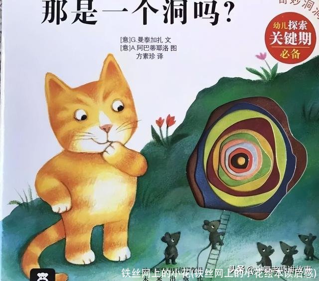 铁丝网上的小花(铁丝网上的小花绘本读后感)