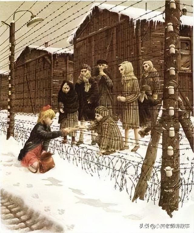 铁丝网上的小花(铁丝网上的小花绘本读后感)